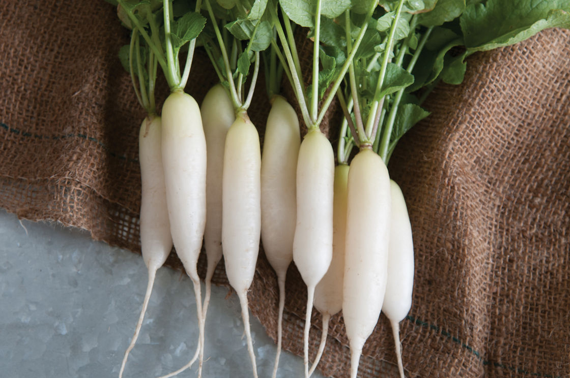 Never eat radish with bitter gourd and orange know why भूलकर भी मूली