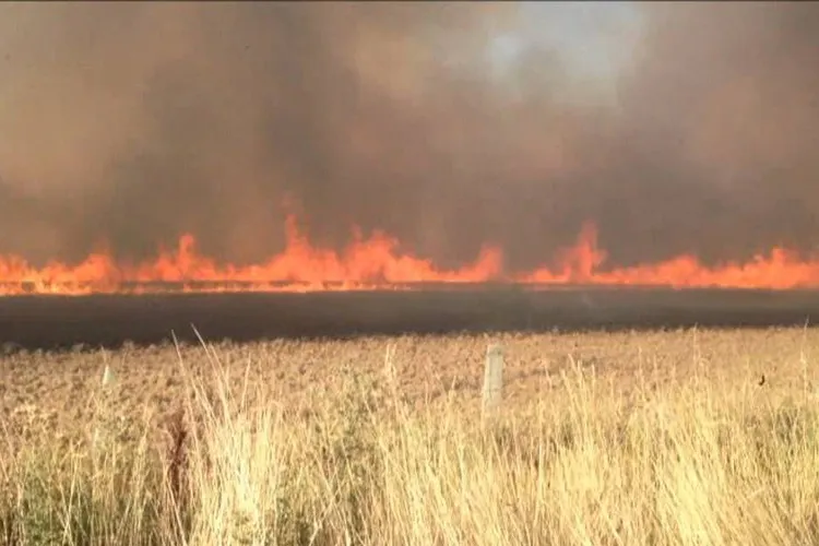 ‘स्मॉग‘ के लिये सिर्फ पराली और डीजल गाड़ियों को ही ना बनाएं विलेन, अपने गिरेबां में भी झांकें ‘स्मॉग‘ के लिये सिर्फ पराली और डीजल गाड़ियों को ही ना बनाएं विलेन, अपने गिरेबां में भी झांकें- India TV Hindi