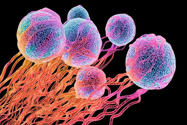 Best Health Stories of 2018: साल 2018 में सबसे ज्यादा पढ़ी गईं ये खबरें... Cancer - India TV Hindi