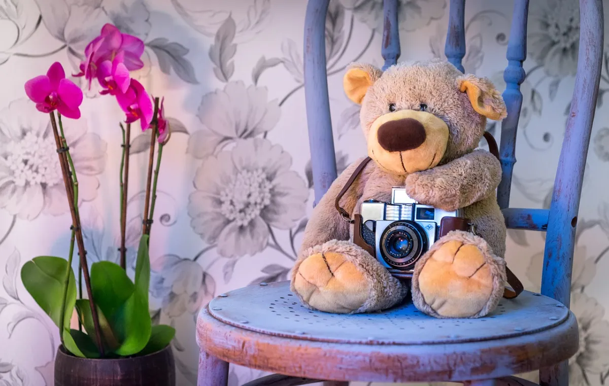 Happy Teddy Day 2019: टेडी डे पर इस खास अंदाज में WhatsApp, Facebook, SMS Wishes के जरिए भेजें संदेश <p>Teddy Day</p>- India TV Hindi