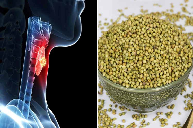 Health benefits of drinking coriander seed water in thyroid natural