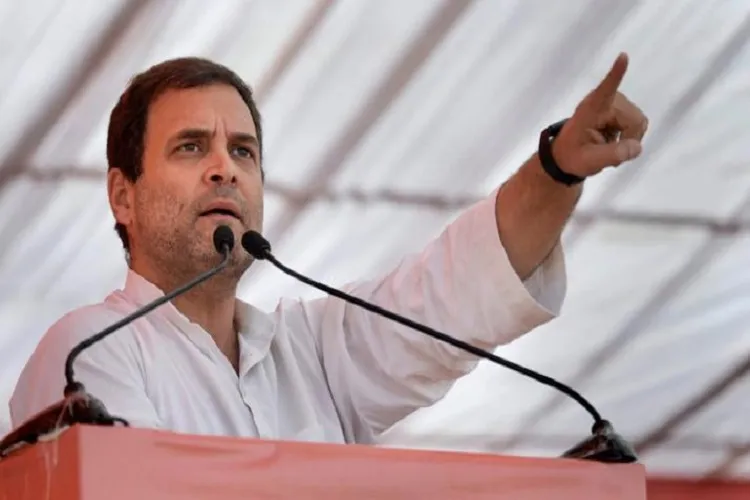 Lok Sabha Election 2019: BJP ने EC से की राहुल गांधी की शिकायत, नकवी बोले- 'मोदी की जाति पर दिया शर्मनाक बयान' <p>Rahul Gandhi (File Photo)</p>- India TV Hindi