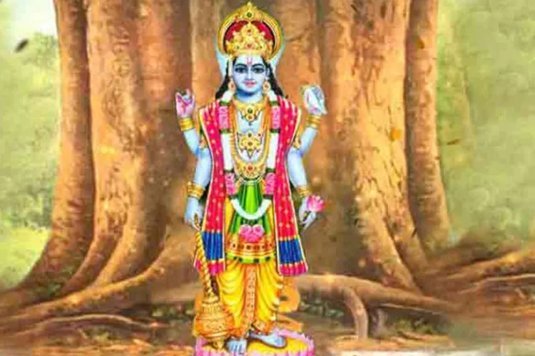 Apra Ekadashi 2019: अपरा एकादशी के दिन अपार धन-दौलत के लिए इस शुभ मुहूर्त में ऐसे करें पूजा Apra Ekadashi- India TV Hindi