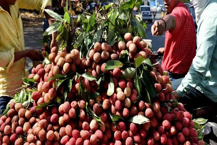 'AES का लीची से कोई संबंध नहीं' <p>litchi</p>- India TV Hindi