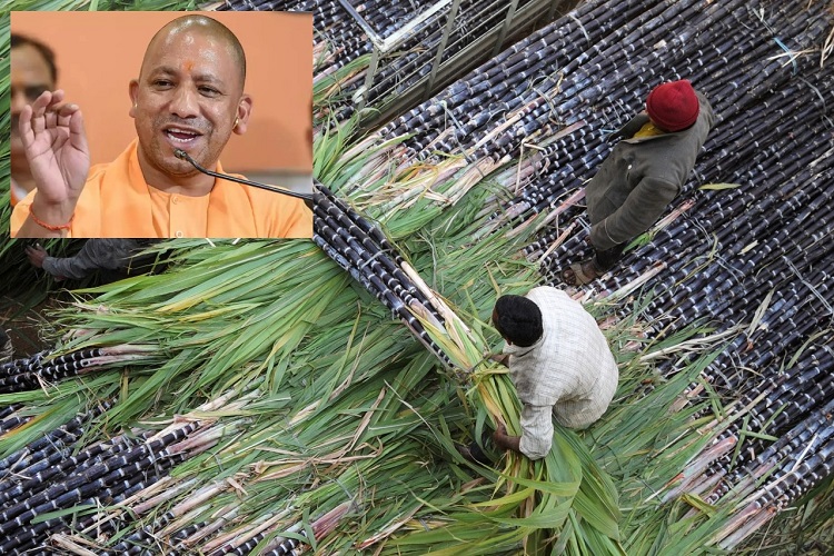 Up CM Yogi Adityanath said sugar Mill owner give full payment of ...
