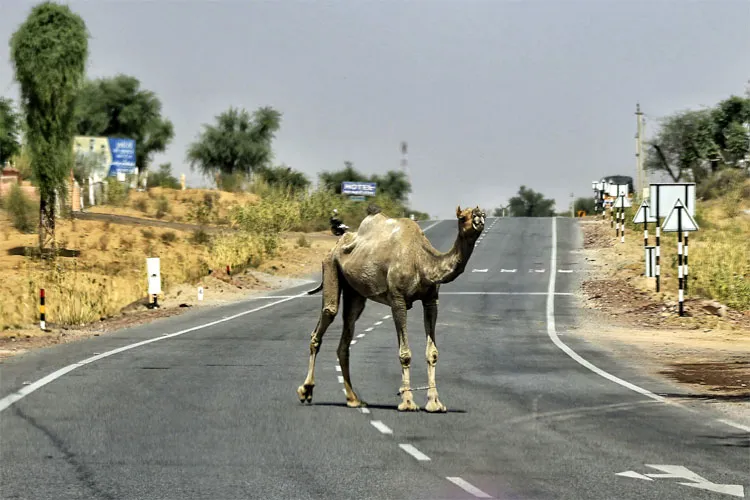 मानसून के लिए खलनायक बना चक्रवात 'वायु', मुंबई में एक हफ्ते लेट होगी बारिश, दिल्ली के लिए लंबा हुआ इंतजार <p>Wait For Monsoon</p>- India TV Hindi