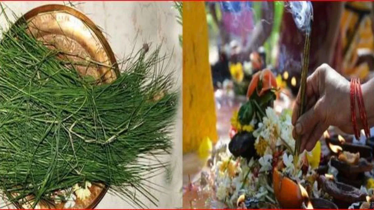 Kushotpatini Amavasya 2019: चाहते हैं हर इच्छा पूरी करना तो कुशोत्पाटिनी अमावस्या के दिन राशिनुसार कुश से करें ये खास टोटका kushotpatini amavasya 2019 - India TV Hindi