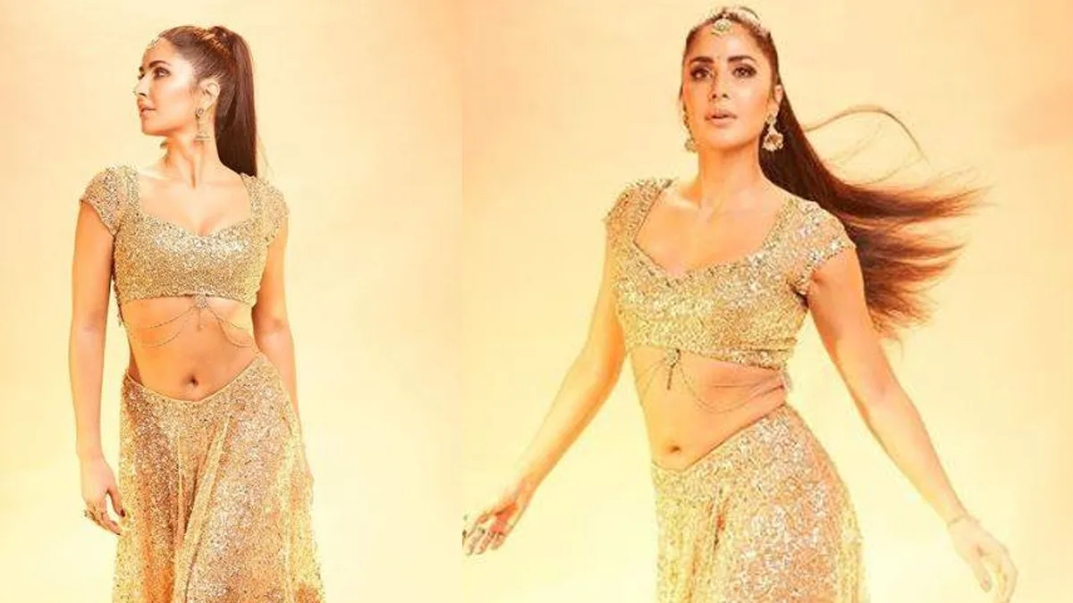 कैटरीना कैफ ने इस गोल्डन ड्रेस में ढाया कहर, डांस वीडियो देखकर उड़ जाएंगे होश <p>katrina kaif</p>- India TV Hindi