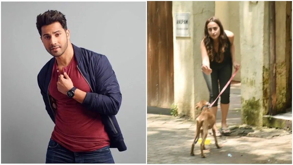 नताशा दलाल के डॉगी को लेकर चल रहीं खबरों पर वरुण धवन ने दिया जवाब <p>Varun dhawan and Natasha dalal</p>- India TV Hindi