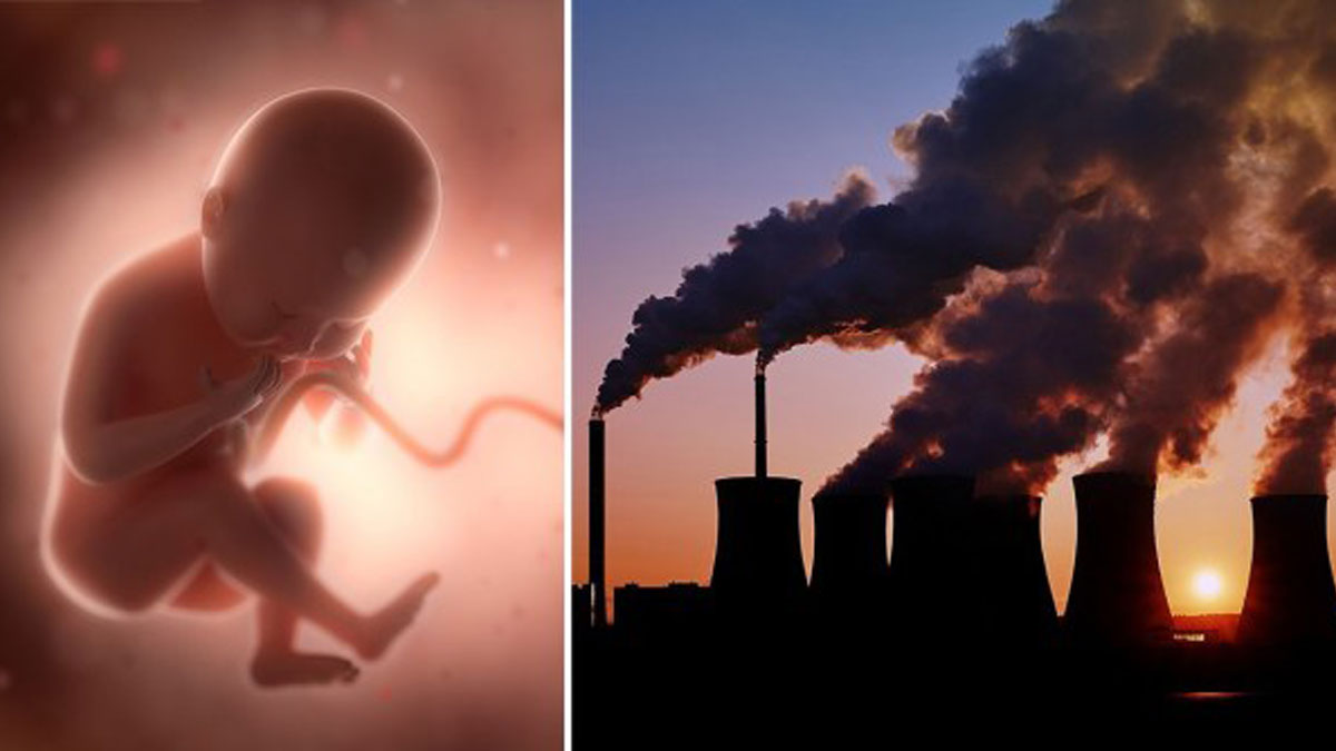 Prenatal Pollution Exposure Linked To Reduced Heart Stress Response In ...