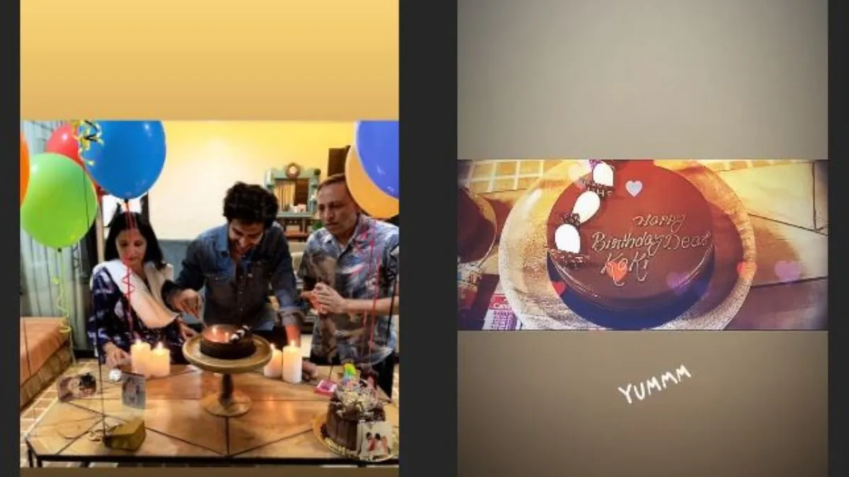 कार्तिक आर्यन ने परिवार के साथ मनाया बर्थ डे, शेयर की तस्वीरें kartik aaryan brithday celebration- India TV Hindi