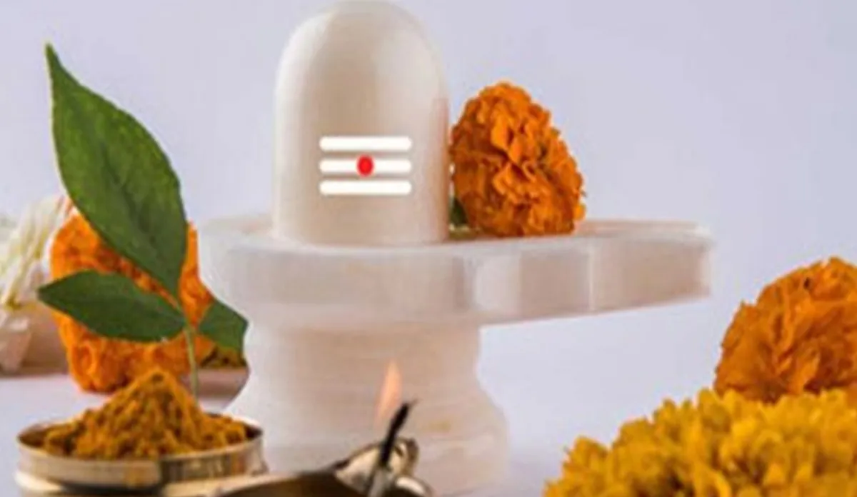 महाशिवरात्रि 2020: शिवलिंग पर न चढ़ाएं ये 7 चीजें, माना जाता है अशुभ Maha Shivratri 2020- India TV Hindi