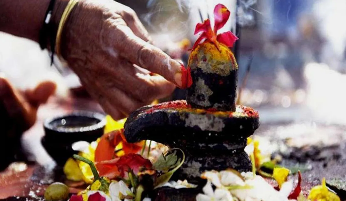 महाशिवरात्रि 2020: शिव पूजा के लिए आज है पूरे दिन शुभ मुहूर्त, जानें पूजा विधि, व्रत कथा और पारण Maha Shivratri 2020, shubh muhurat, puja vidhi- India TV Hindi