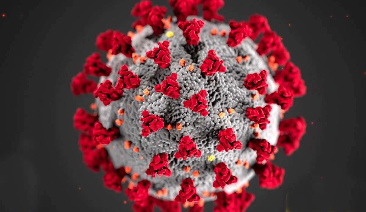 कोरोना वायरस से बचाएंगे ये 10 जरूरी कदम, इनका पालन जरूर करें Cororna virus- India TV Hindi