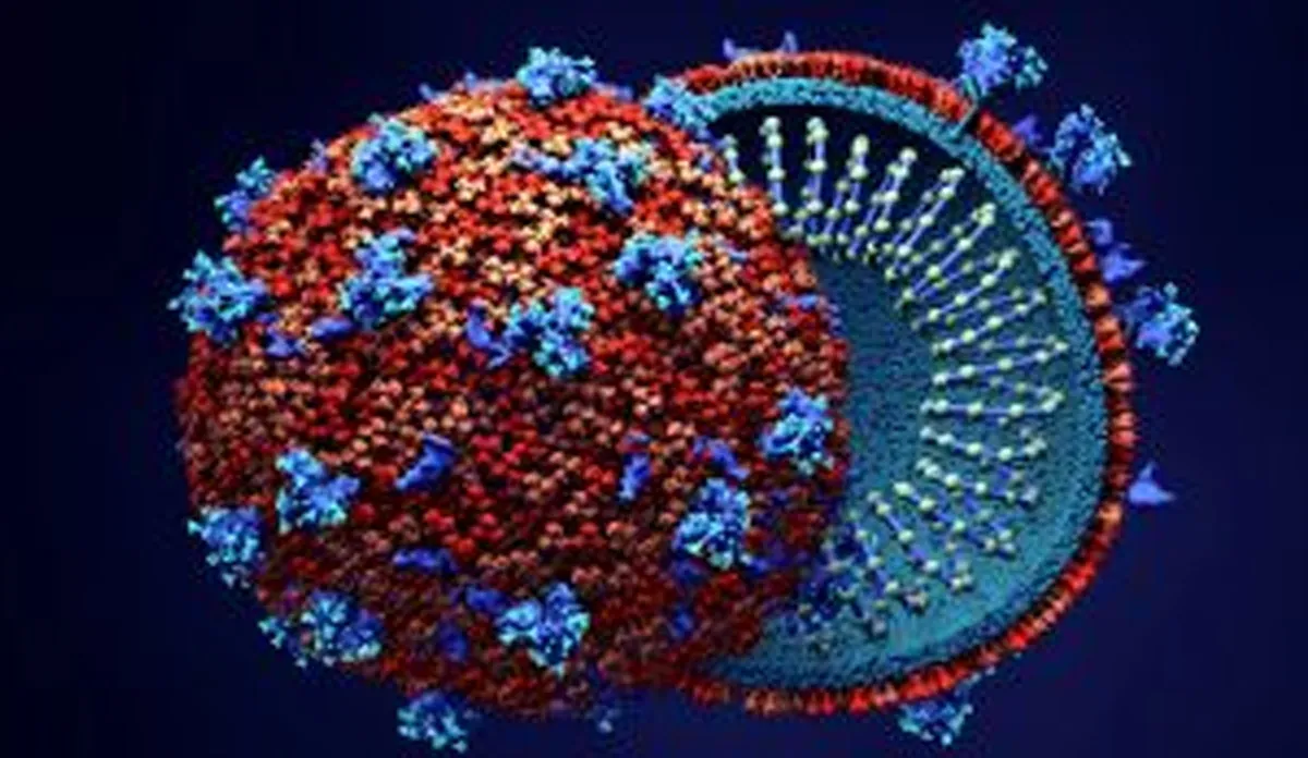 ऑनलाइन सामान घर आए तो क्या सावधानी बरतें? चीन से वापस आईं भारतीय डॉक्टर की सलाह Coronavirus- India TV Hindi