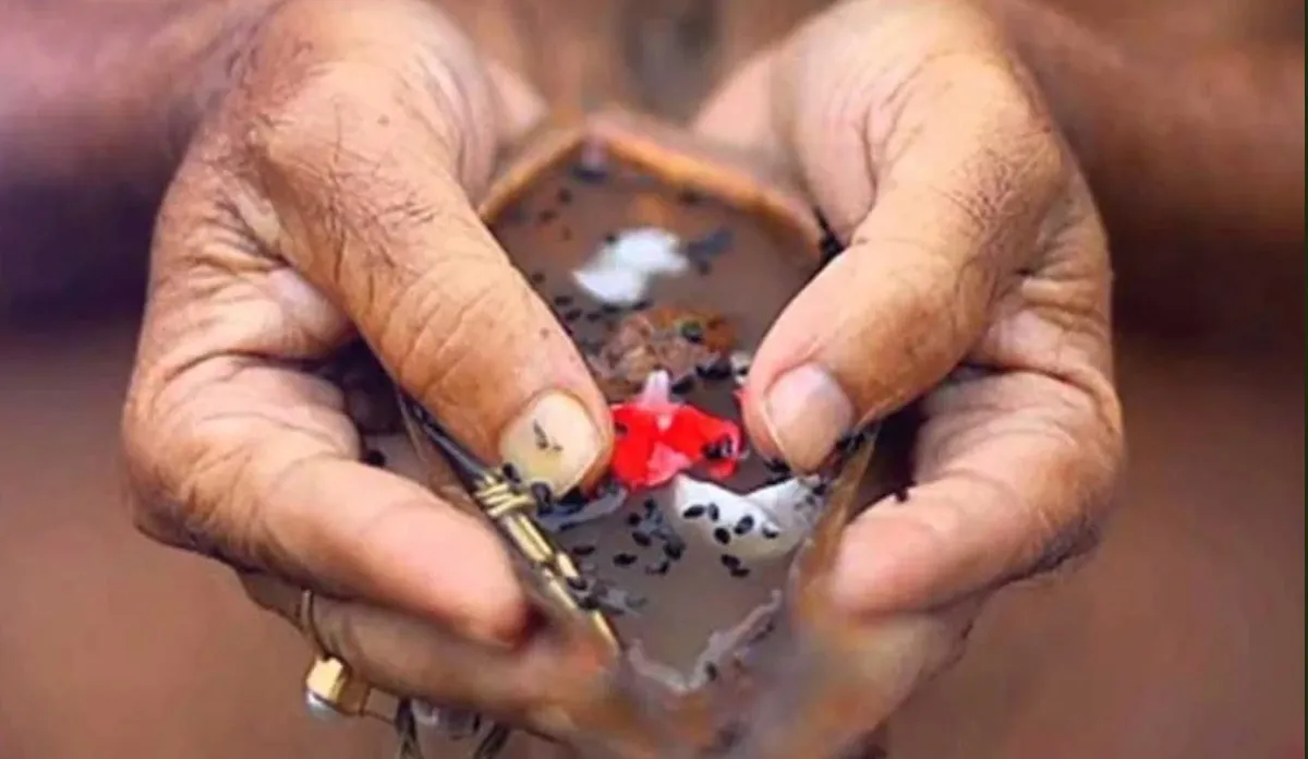 बैशाख अमावस्या आज, सुख-संपत्ति के लिए राशिनुसार करें ये खास उपाय बैशाख अमावस्या- India TV Hindi