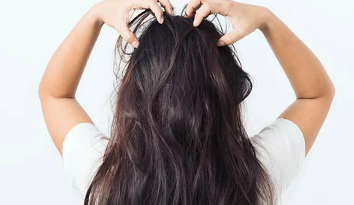 बालों का झड़ना रोक कर उन्हें काला और घना बनाएंगे ये बेहद आसान टिप्स How to Stop Hair Fall Naturally: Beauty Tips Home Remedies for Hair Fall Effective Home Remedies And- India TV Hindi