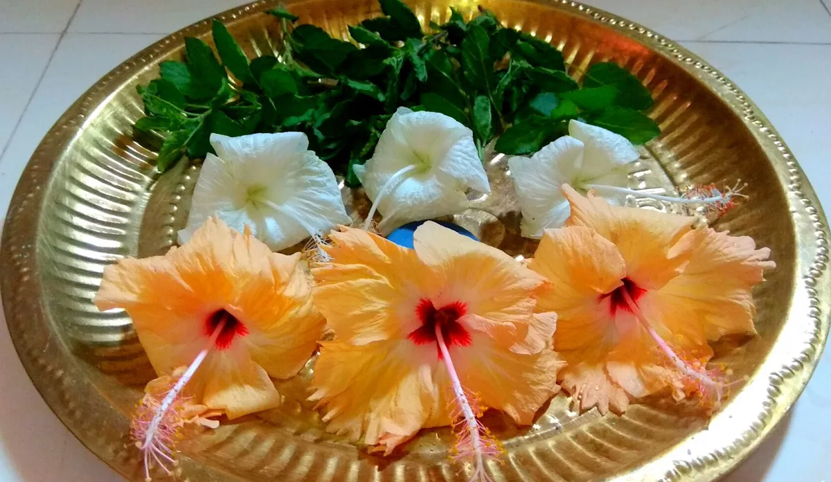 आज अनुराधा नक्षत्र के साथ बन रहा है खास योग, राशिनुसार ये उपाय करने से मिलेगी हर काम में सफलता <p>शुक्रवार की पूजा</p>- India TV Hindi