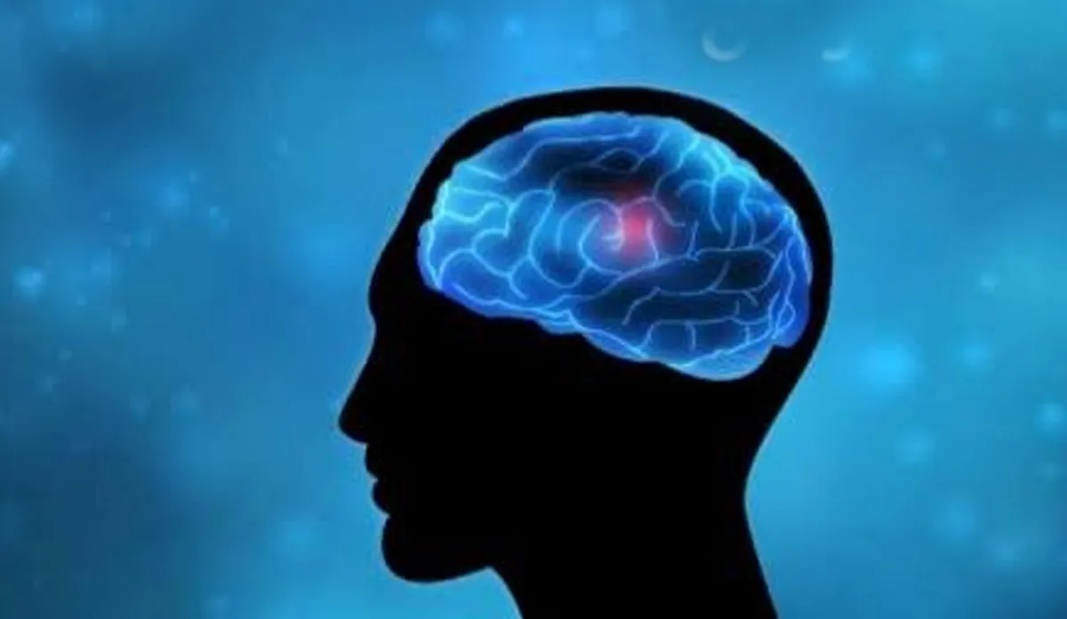 World Brain Tumor Day 2020: सुबह-सुबह तेज सिरदर्द हो सकता है ब्रेन ट्यूमर का संकेत, जानिए इसके लक्षण, कारण और इलाज ब्रेन ट्यूमर- India TV Hindi
