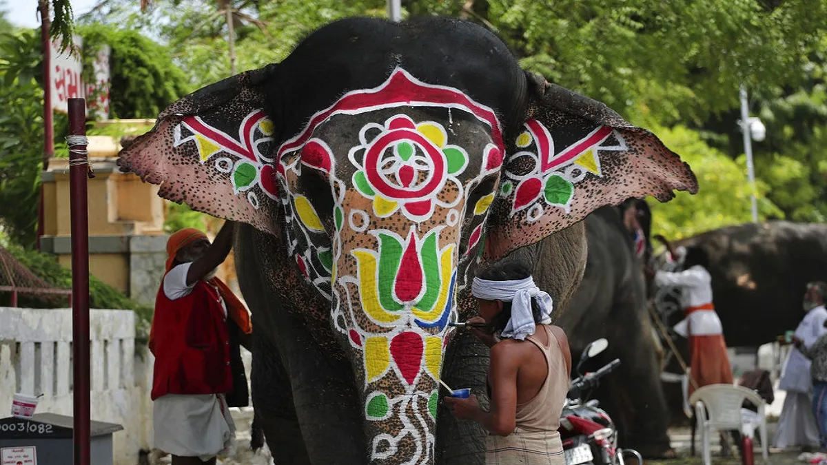 गुजरात हाईकोर्ट ने नहीं दी अहमदाबाद में रथयात्रा को अनुमति, रात 2 बजे के बाद तक चली सुनवाई <p>Jagannath Rath Yatra</p>- India TV Hindi