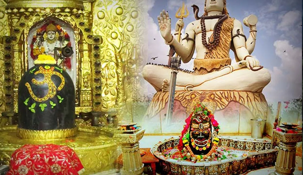 बुध प्रदोष व्रत: हर संकट से छुटकारा पाने के लिए करें ये उपवास, जानिए शुभ मुहूर्त, पूजा विधि और व्रत कथा बुध प्रदोष व्रत- India TV Hindi