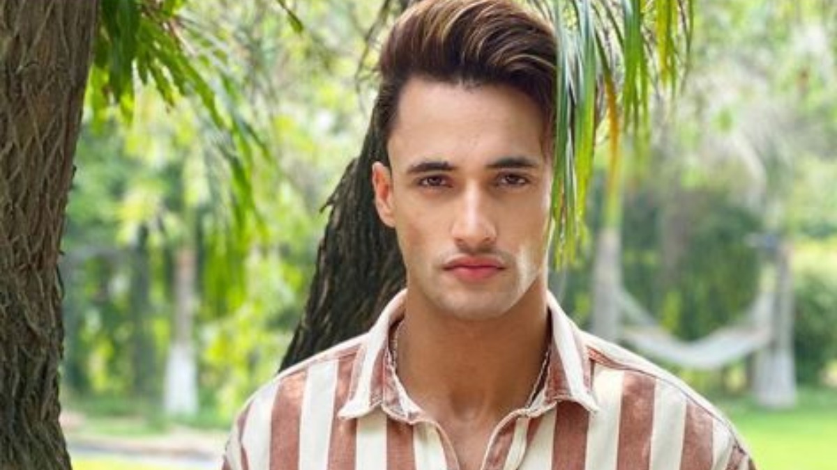 asim riaz shares picture on social media #asimriaz trending on twitter ...