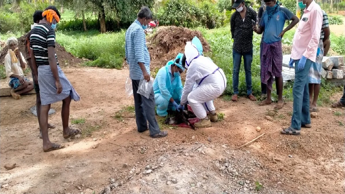 kerala coronavirus Updates: केरल में कोरोना वायरस के 151 नए मामले, आंकड़ा 4,500 के पार kerala coronavirus cases till 1 july- India TV Hindi
