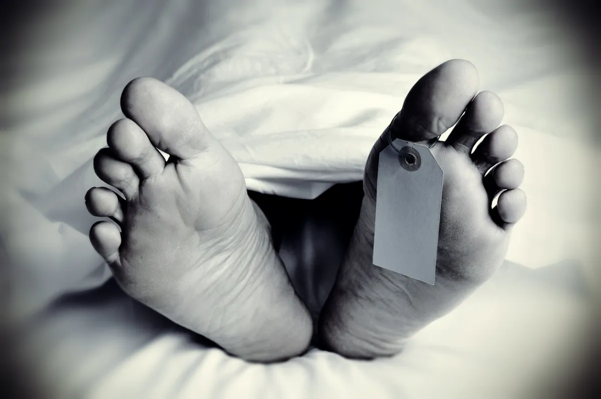 कर्नाटक के पूर्व मंत्री राजा मदनगोपाल नाइक का कोरोना वायरस से निधन Former Karnataka minister passes away due to coronavirus- India TV Hindi