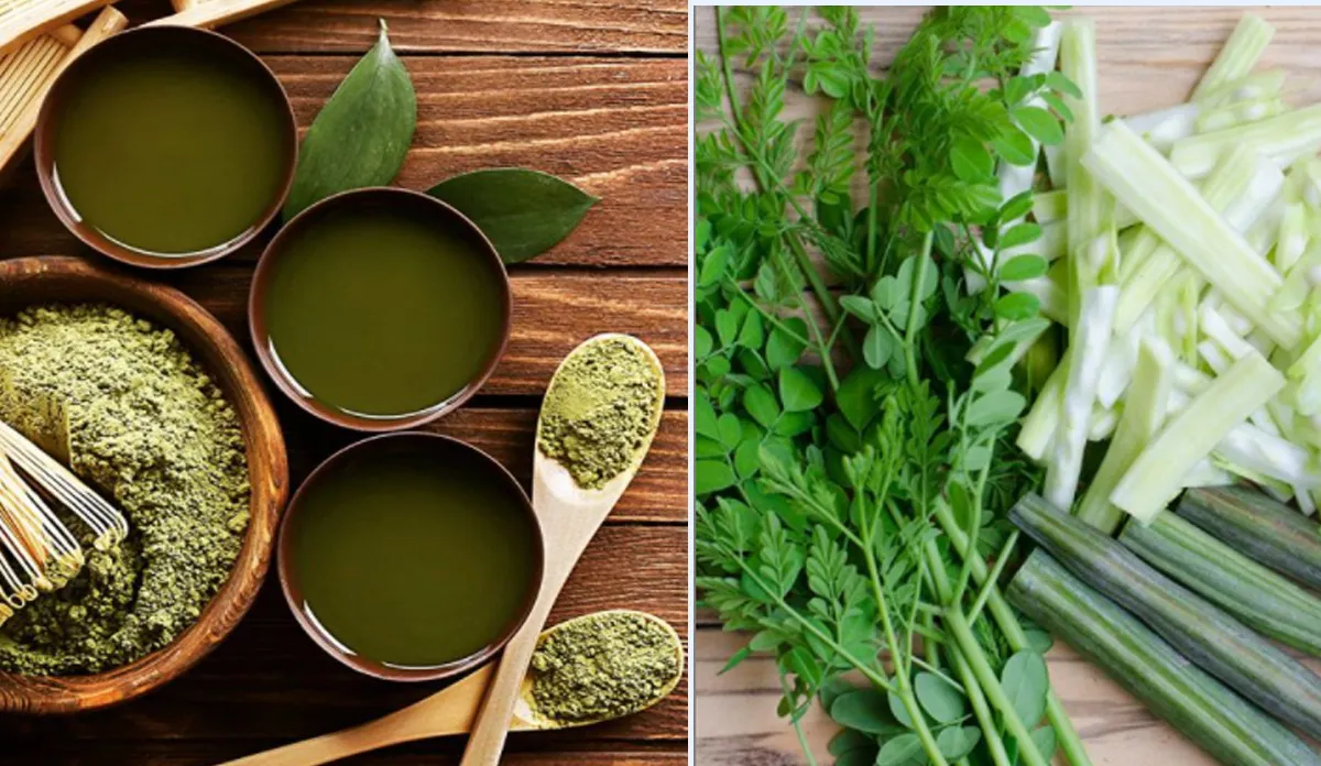 सहजन की पत्तियों से बनाएं ये पावरफुल चाय, बीपी सहित इन 7 बीमारियां से मिलेगा छुटकारा <p>सहजन की चाय</p>- India TV Hindi