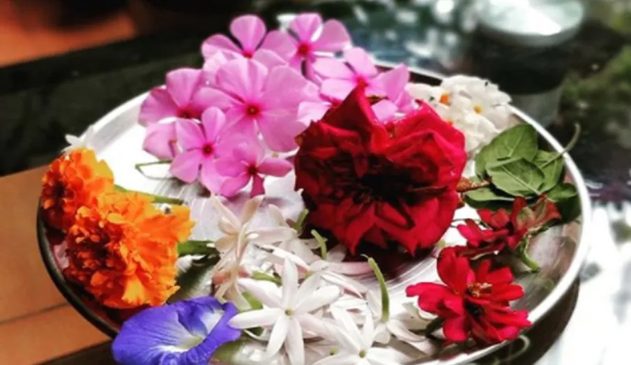 गुरुवार को बन रहा है शिव योग, राशिनुसार ये उपाय करने से होगी हर मुराद पूरी गुरुवार को करें ये उपाय- India TV Hindi