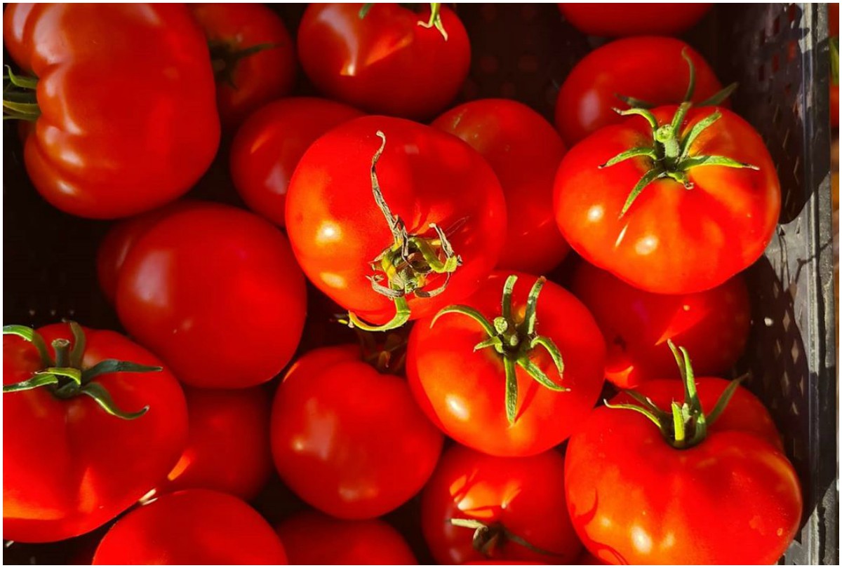 Tomato 5 health benefits Tomato increase eyesight control blood