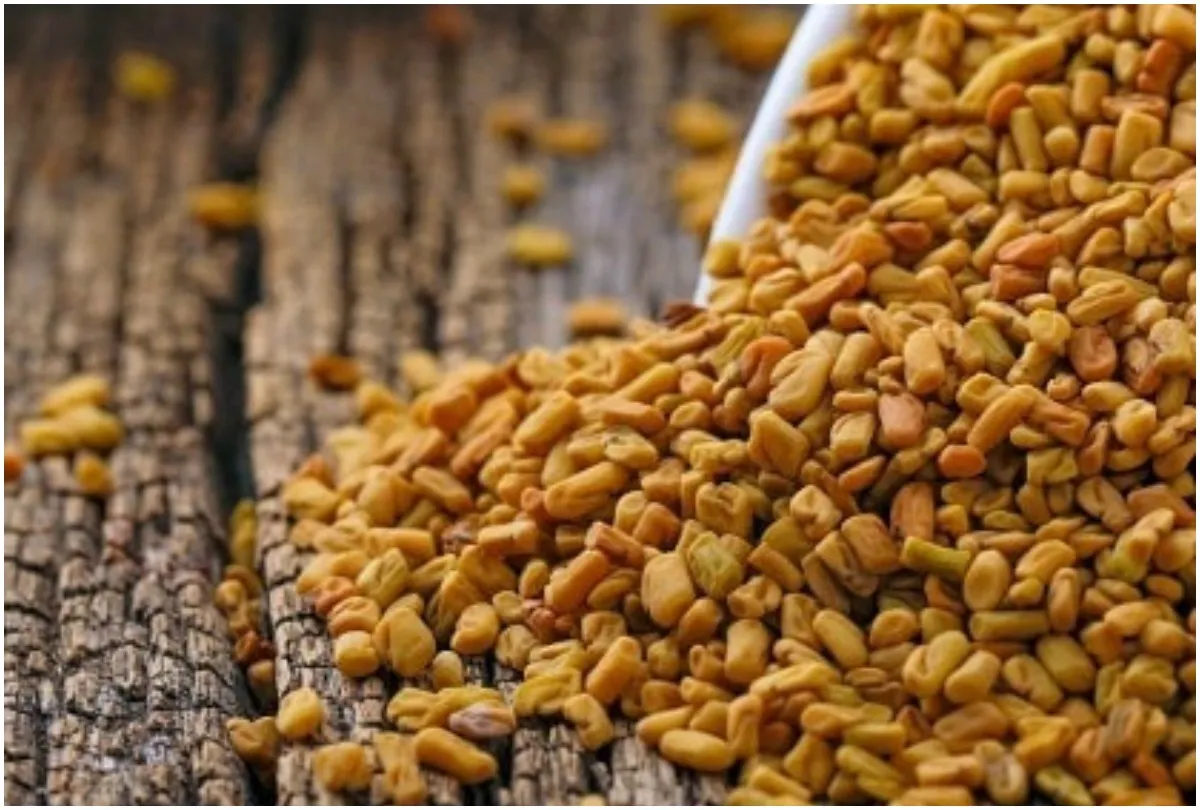 मेथी दाना हाई ब्लड प्रेशर को जल्द करेगा कंट्रोल, बस ऐसे करें इस्तेमाल Methi - India TV Hindi