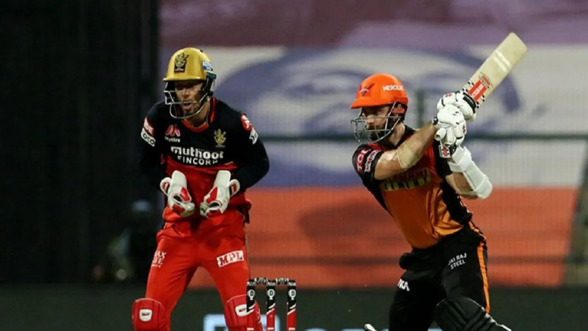 IPL 2020 Highlights SRH vs RCB : विलियम्सन (50)* की पारी से 6 विकेट से जीता हैदराबाद, बैंगलोर हुई बाहर Live cricket Score SRH vs RCB IPL 2020 Eliminator Sunrisers vs Royal Challengers Live Updates Abu D- India TV Hindi