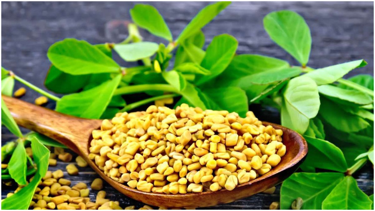 diabetes remedy fenugreek or methi water home remedies to control Blood