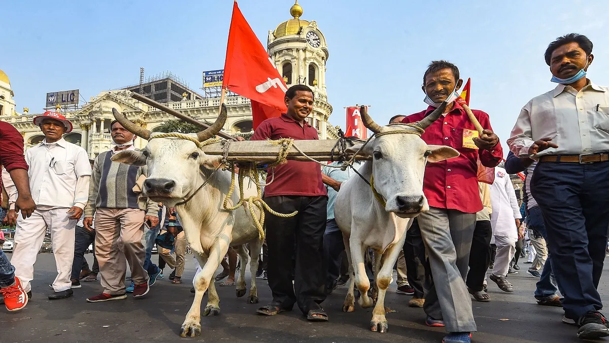 किसान आंदोलन LIVE: सुप्रीम कोर्ट ने कमेटी बनाई, कृषि विशेषज्ञ पी साईनाथ होंगे शामिल Kisan andolan hindi news modi govt new farm law farmer protest delhi up singhu border live updates। - India TV Hindi