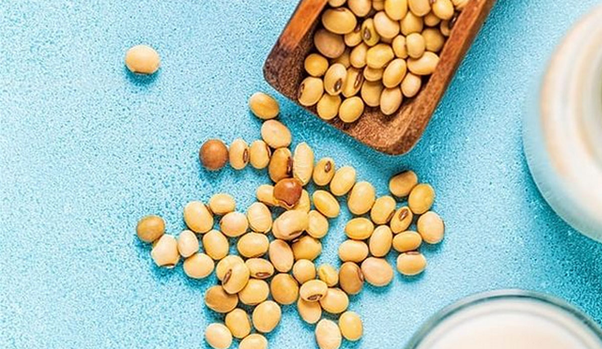 Soybean helps in treatment of diabetes and know how to consume to