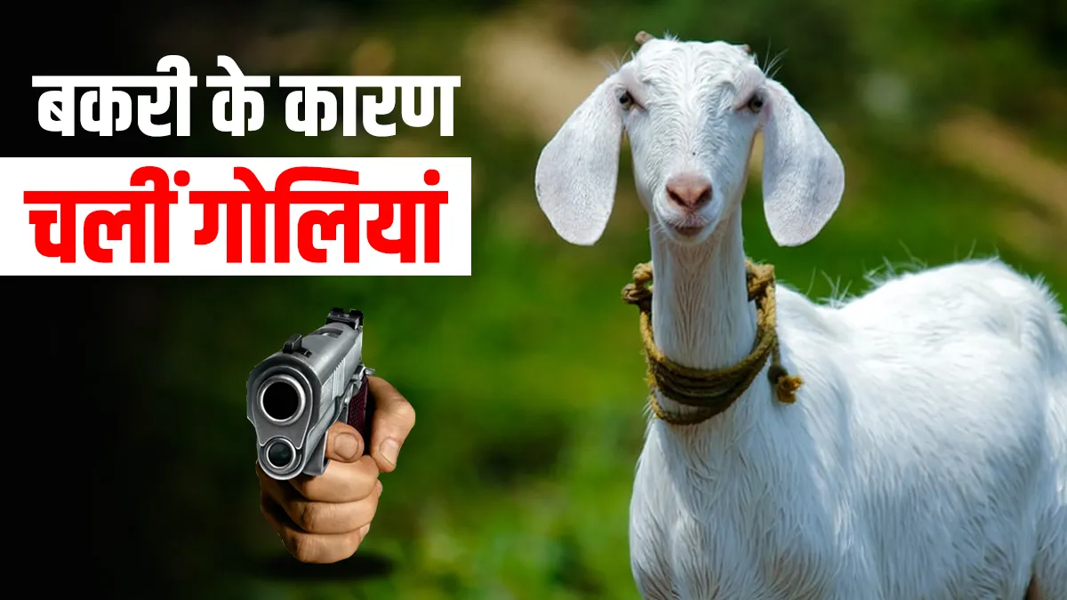बकरी को लेकर हुआ भयंकर विवाद, बेहद मामूली थी वजह, दो को गंवानी पड़ी जान when goat became reason of conflict in agra village बकरी को लेकर हुआ भयंकर विवाद, बेहद मामूली थी वजह- India TV Hindi