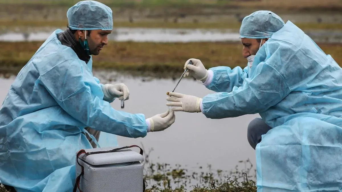 मध्य प्रदेश के 18 जिलों में फैला बर्ड फ्लू, 1500 कौओं और पक्षियों की मौत मध्य प्रदेश के 18 जिलों में फैला बर्ड फ्लू, 1500 कौओं और पक्षियों की मौत- India TV Hindi