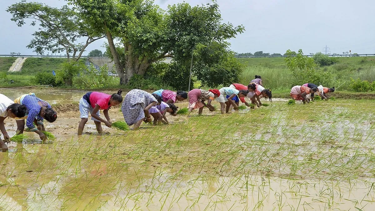किसानों की आमदनी बढ़ाने के लिए योगी सरकार करने जा रही है ये काम, केंद्र सरकार ने दी योजना को मंजूरी Yogi Govt to construct five thousand storage for farmers किसानों की आमदनी बढ़ाने के लिए योगी सरकार क- India TV Hindi