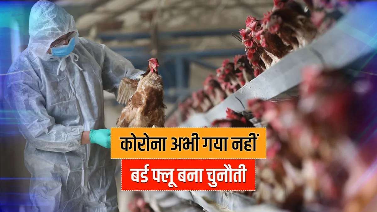 कोरोना गया नहीं अब बर्ड फ्लू की आफत! चपेट में राजस्थान, एमपी, हिमाचल, जानिए इंसानों पर कितना बड़ा खतरा? <p>Bird Flu</p>- India TV Hindi