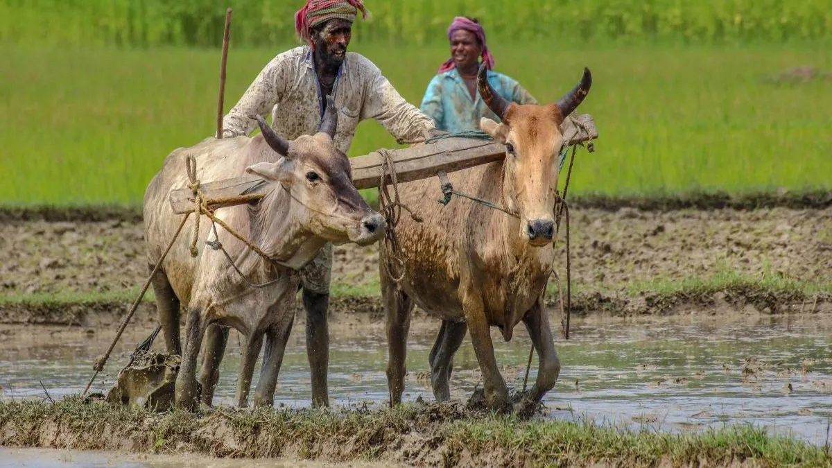 सरकार ने लिया फिर बड़ा फैसला, किसानों को मिलेगा सीधा लाभ सरकार ने लिया फिर बड़ा फैसला, किसानों को मिलेगा सीधा लाभ- India TV Hindi
