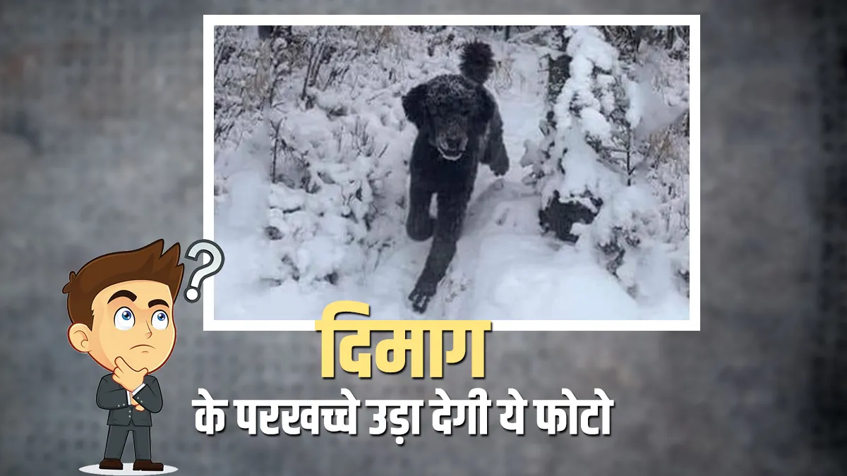 Viral Pic: इस फोटो ने सोशल मीडिया को कर डाला कंफ्यूज, समझने में सुन्न हो जाएगा दिमाग <p>optical illusion </p>- India TV Hindi