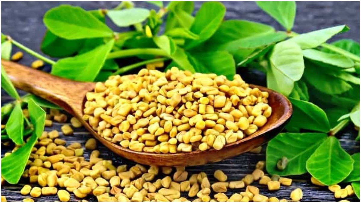 fenugreek oil methi dana seeds are amazing for hair growth and thick hair-  Hair Care Tips: घने और लंबे बाल पाने के लिए मेथीदाना तेल का करें इस्तेमाल,  इस तरह से घर