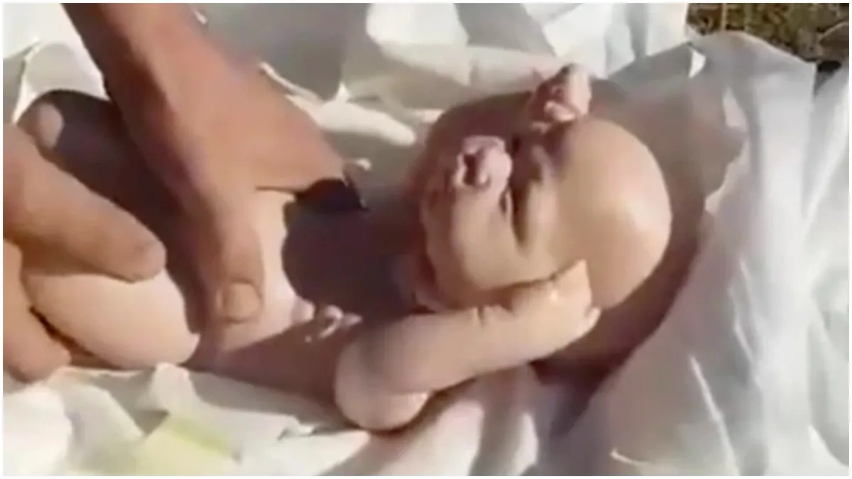 Viral: जुड़वां बच्चों के नाम पर 'गुड़िया' दफना रही थी बीवी, पति के सामने यूं खुली पोल doll- India TV Hindi