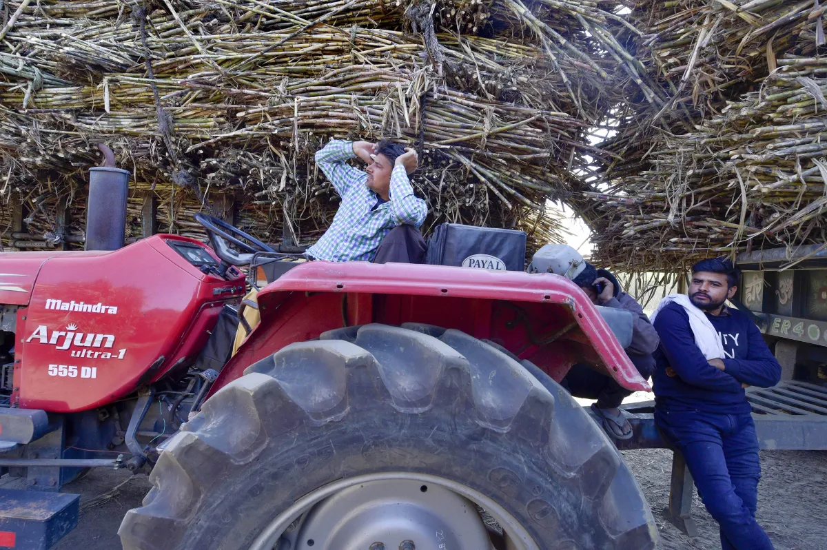 यूपी में गन्ना किसानों की कमाई बढ़ाने के लिए योगी सरकार की बड़ी तैयारी, इस योजना पर शुरू किया काम गन्ना किसान- India TV Paisa