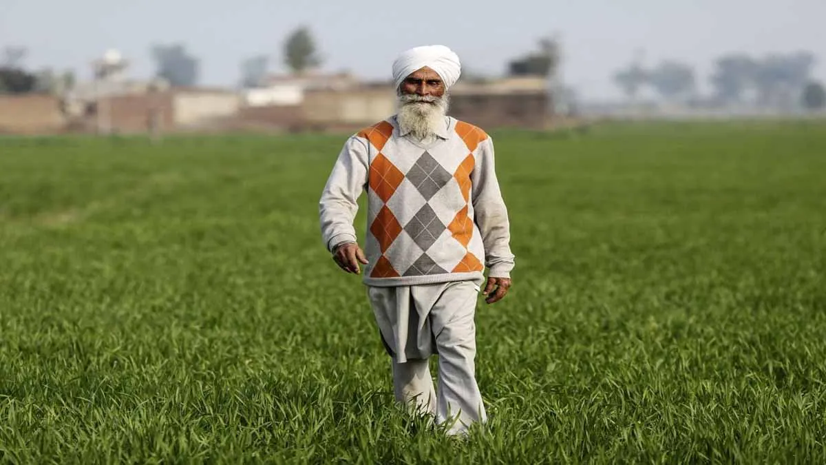 मोदी सरकार का किसानों को तोहफा, फूड प्रोसेसिंग सेक्टर के लिए 10,900 करोड़ रुपये की PLI स्कीम मंजूर Modi Govt approves Rs 10,900 cr PLI scheme for food processing sector- India TV Hindi