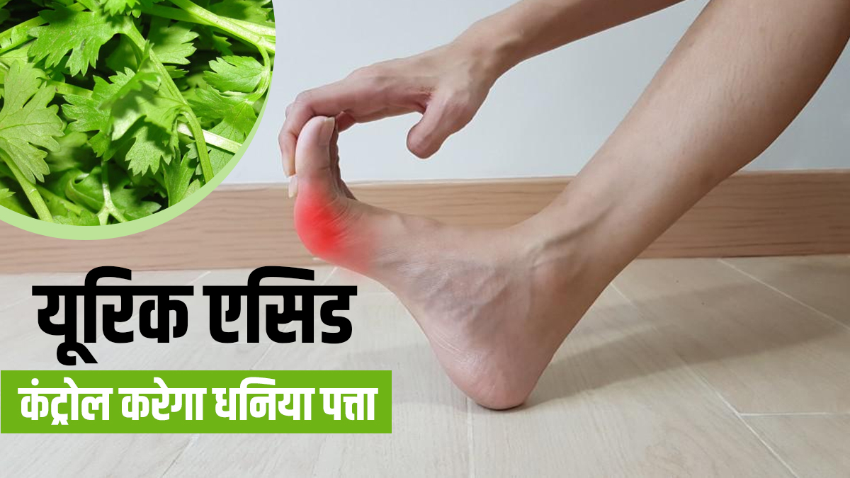 Uric acid add green coriander in your diet to control instantly Uric