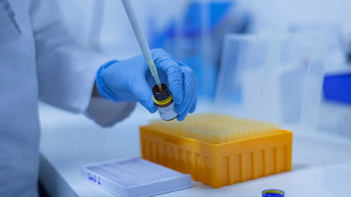 Fake COVID-19 Negative Certificate, Fake COVID-19 Certificate, Gujarat COVID-19- India TV Hindi