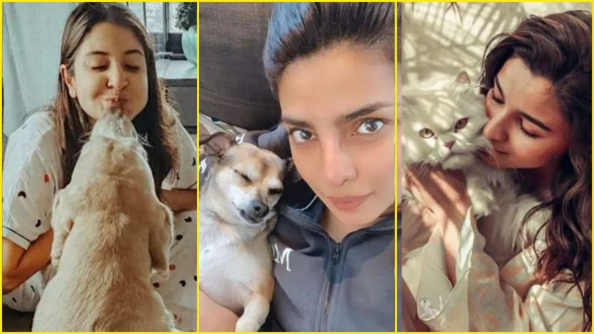 National Pet Day 2021: आलिया भट्ट से लेकर अनुष्का शर्मा तक इन बॉलीवुड सेलेब्स को है अपने पेट्स जबरदस्त लगाव alia bhatt, priyanka chopra, anushka sharma- India TV Hindi