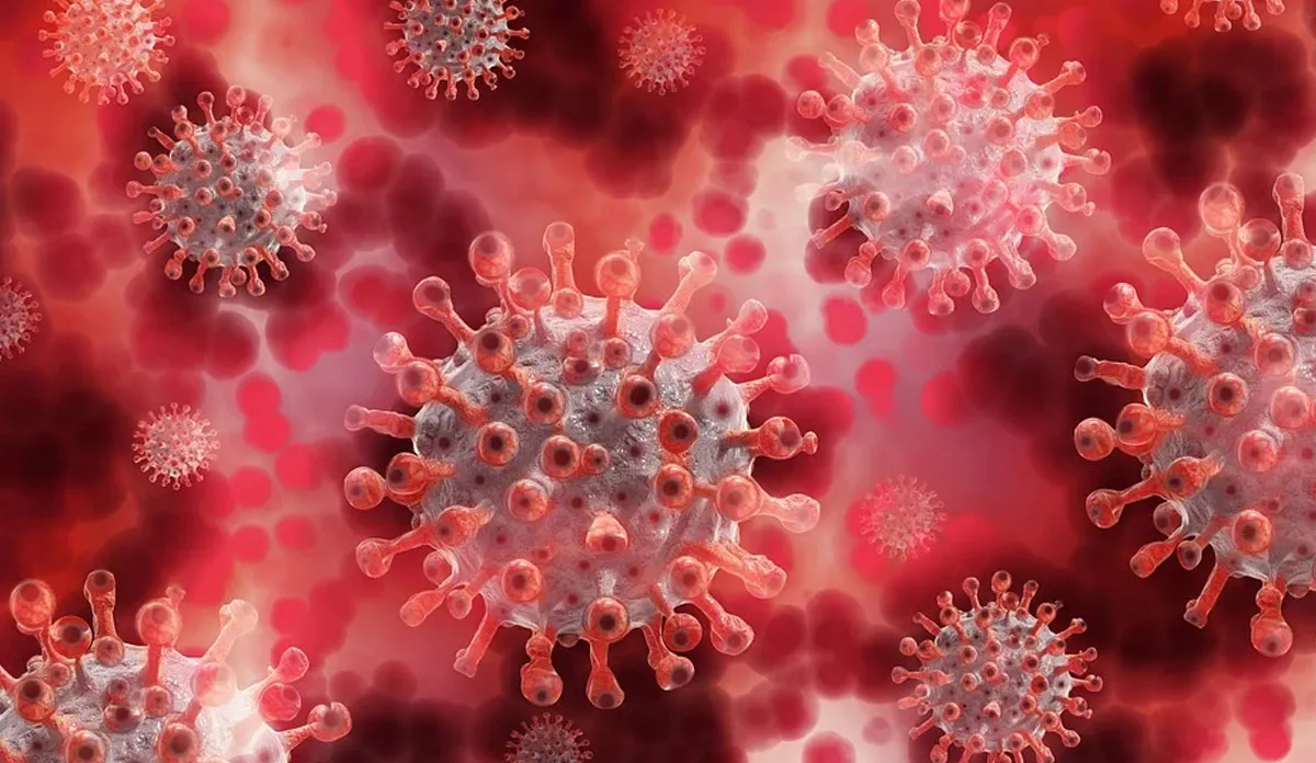 Coronavirus Live: देश में पिछले 24 घंटे में 2 लाख से ज्यादा नए मामले सामने आए, 2,83,135 लोग हुए डिस्चार्ज Coronavirus Live: कोरोना वैक्सीन लगवाने से पहले या बाद में क्या करें और क्या नहीं? ये हैं गाइडलाइंस- India TV Hindi